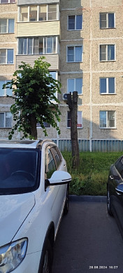 В Тейкове жители грудью защищали деревья на Нагорной